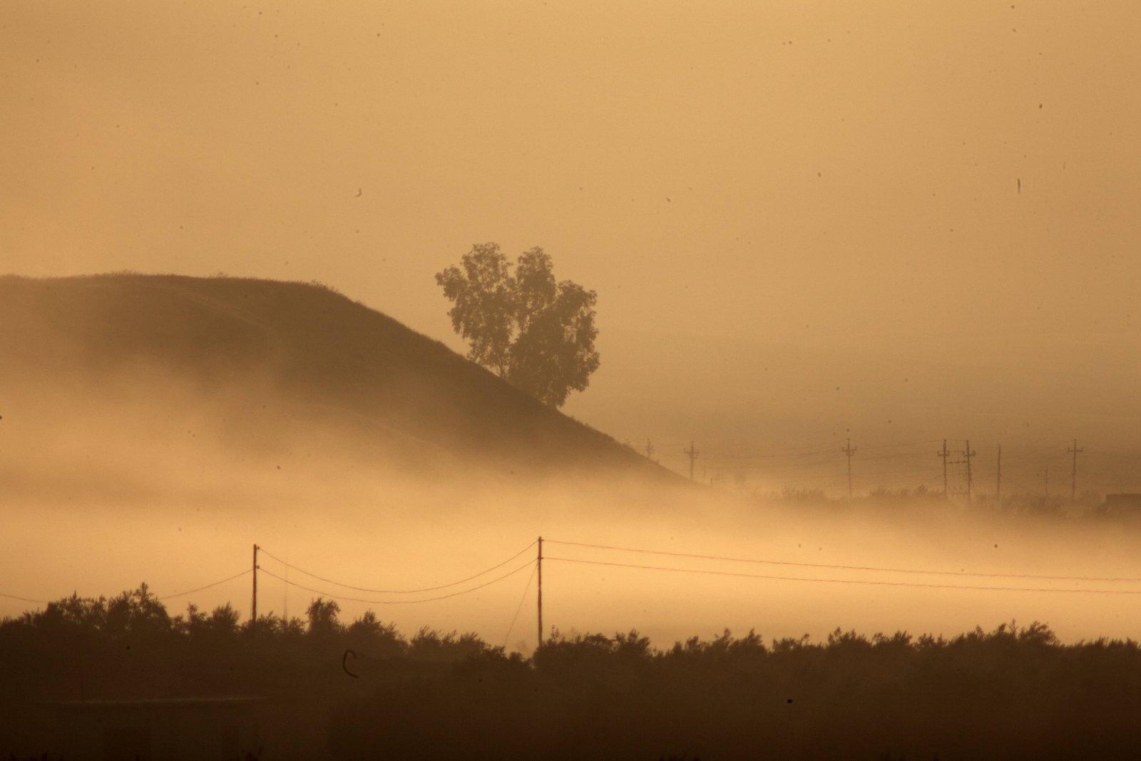 The Battle for Bashiqa